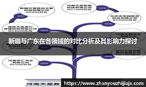 新疆与广东在各领域的对比分析及其影响力探讨